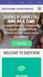 Mobile Screenshot of enzychem.com